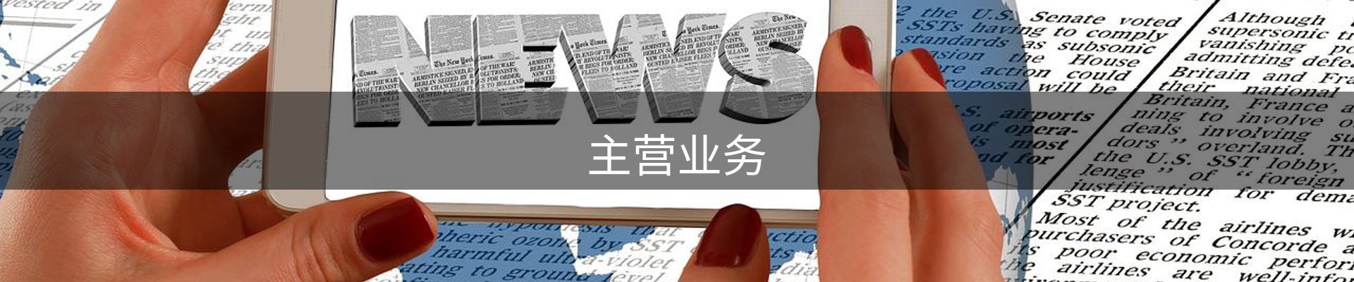 主营业务