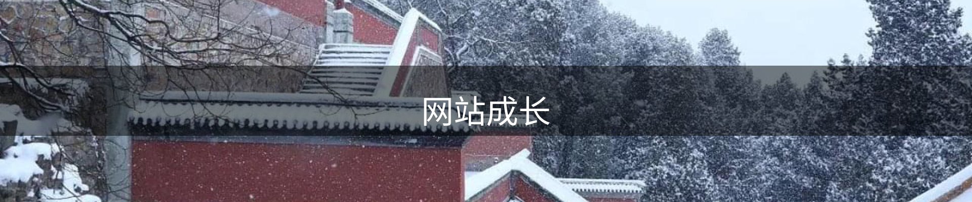 网站成长